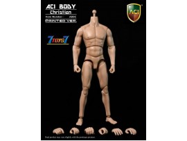 ACI Toys 1/6 AB9C Medium Built Body Christian_ painted Body + 6 hands (No original box) AT036H