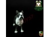 ACI Toys 1/6 Dog_ Boston Terrier _Animal Pet Diorama Now AT068Z