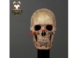 ACI Toys 1/6 Cannibal Skull (ACI-753) AT032A