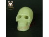 ACI Toys 1/6 Glow Cannibal Skull (ACI-753C) AT083A